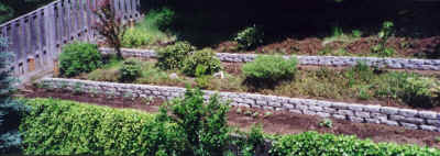 long_walls.jpg (316936 bytes)